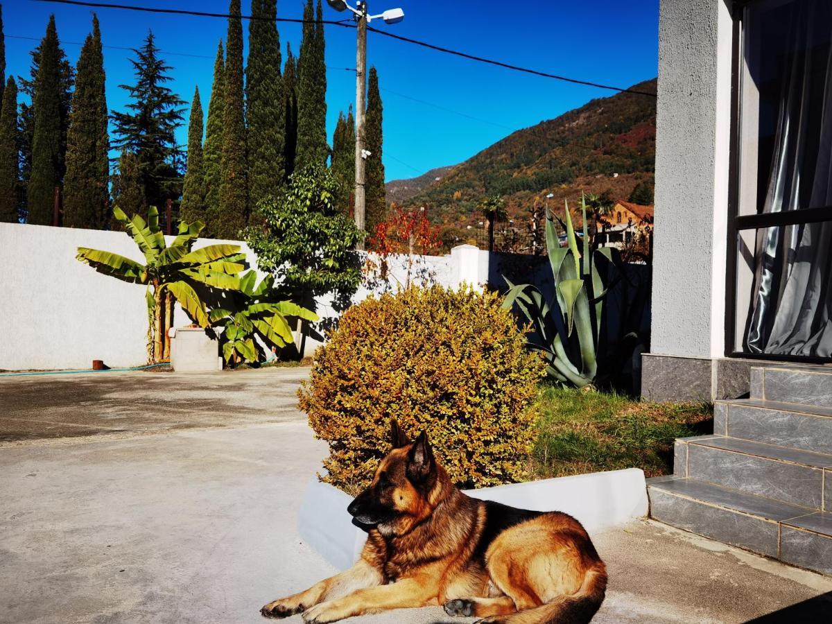 Gega Hotel Gagra Kültér fotó