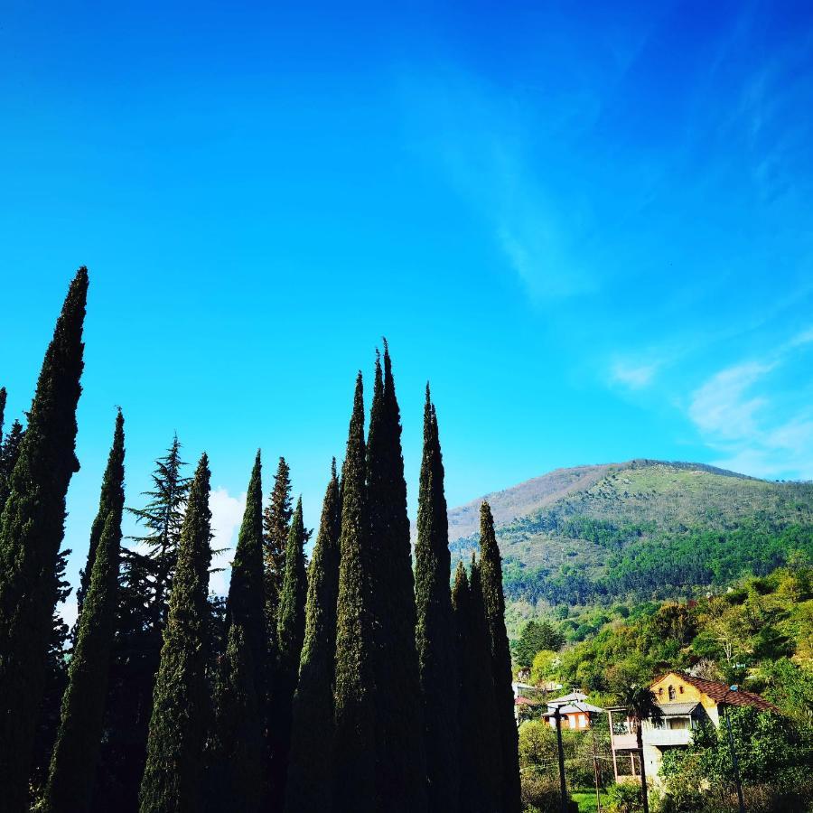 Gega Hotel Gagra Kültér fotó
