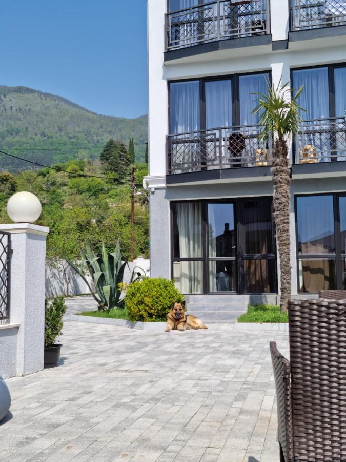 Gega Hotel Gagra Kültér fotó